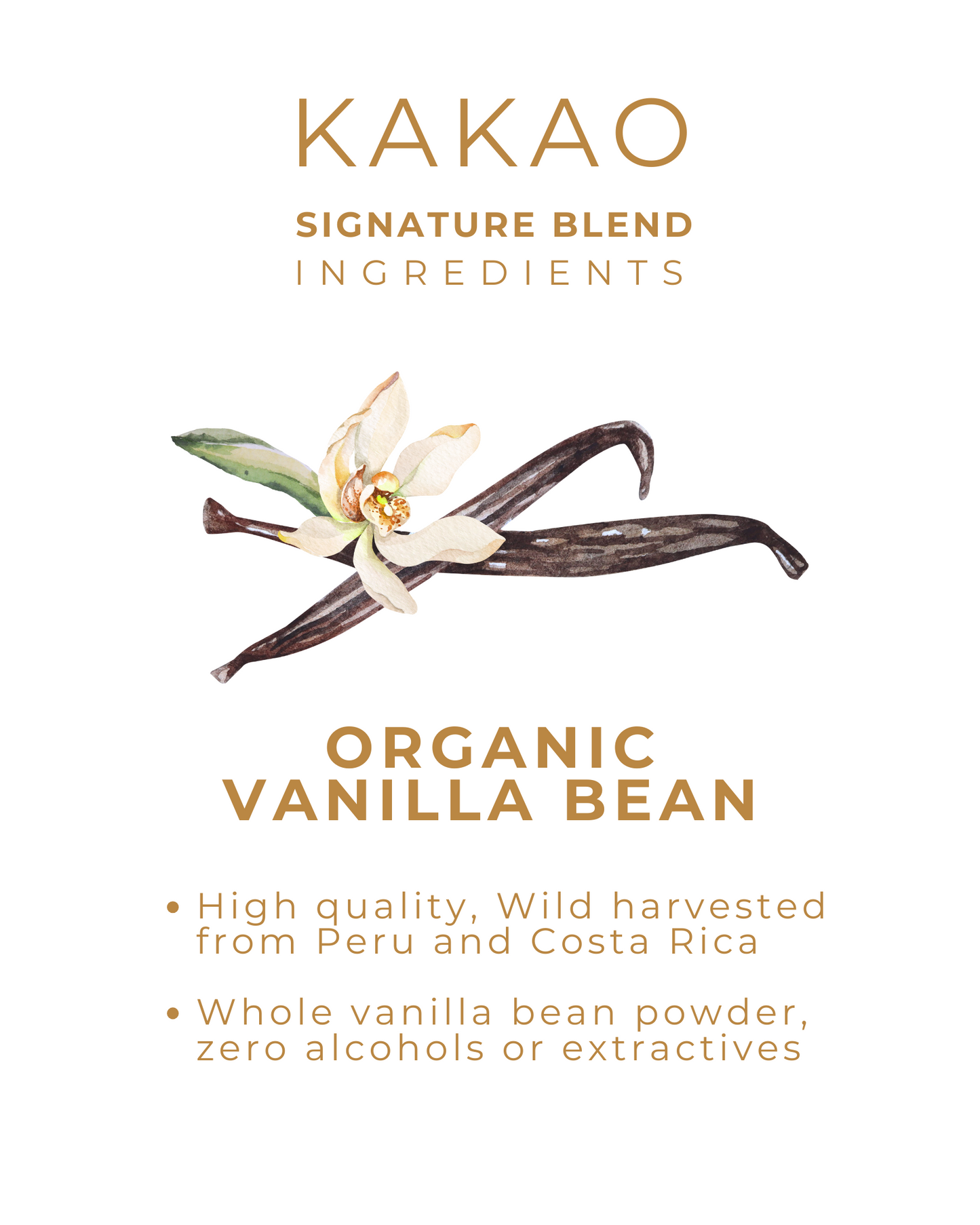 KAKAO SIGNATURE BLEND